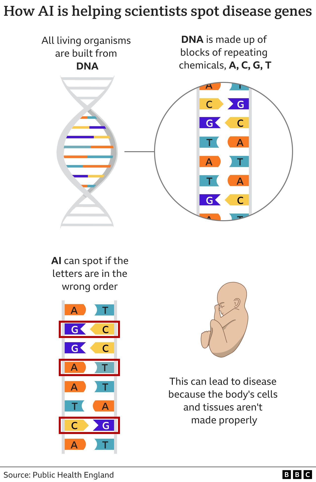 Graphic showing how faulty DNA causes disease