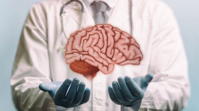 Doctor sostiene un cerebro con sus manos