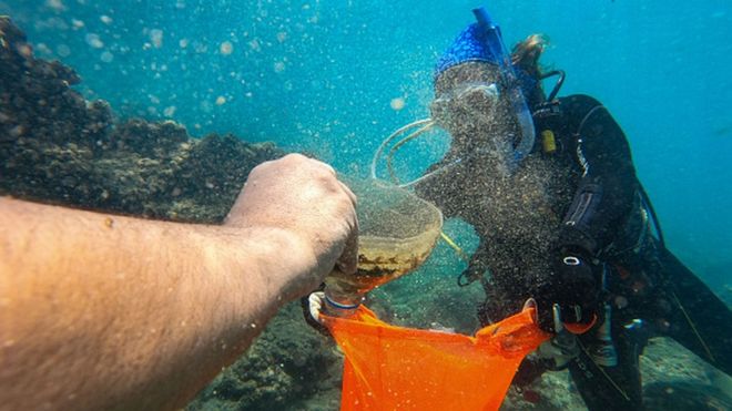 MERSIN, TURKEY - JULY 24: Volunteer divers conduct an underwater cleaning at Silifke district of Mersin, Turkey on July 24, 2021. Divers want to clean all threatening items including ghost nets and various plastic waste and metal items from sea
