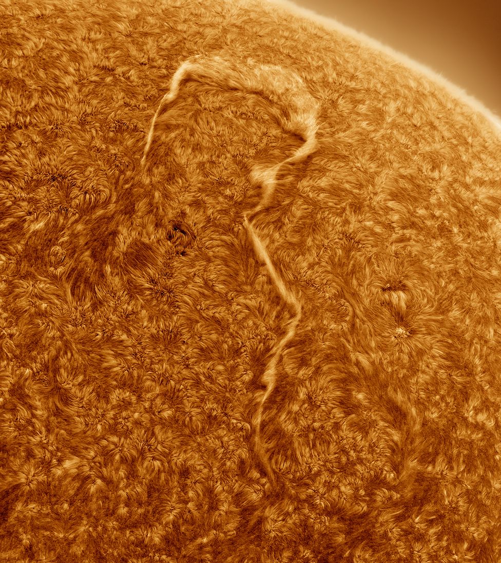 A photograph of the Sun with a huge filament in the shape of a question mark