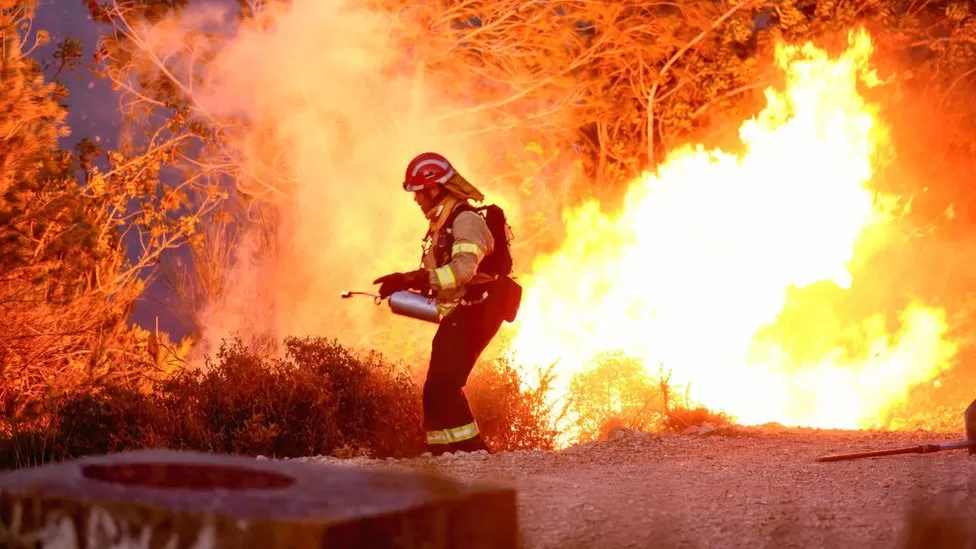 Image showing a firefighter dealing with a wildfire